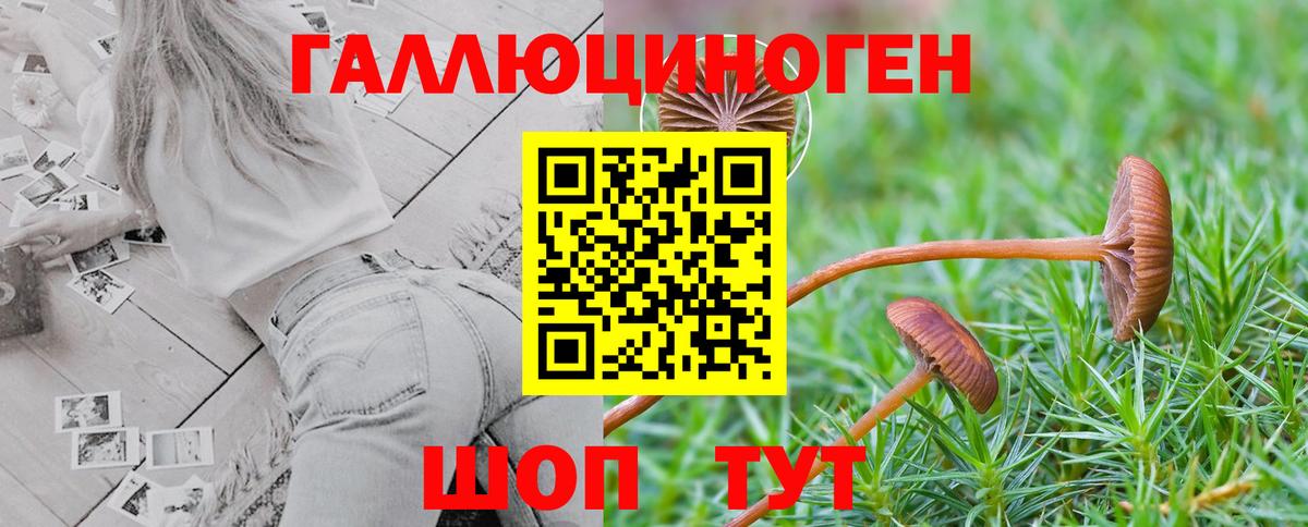 наркошоп  Галлюциногенные грибы мухоморы  Вход с VPN  Златоуст 